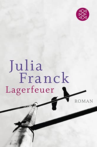 Lagerfeuer: Roman