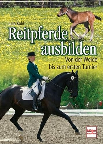Reitpferde ausbilden: Von der Weide bis zum ersten Turnier