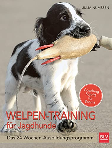Welpen-Training für Jagdhunde: Das 24-Wochen Ausbildungsprogramm (BLV Jagdhunde)