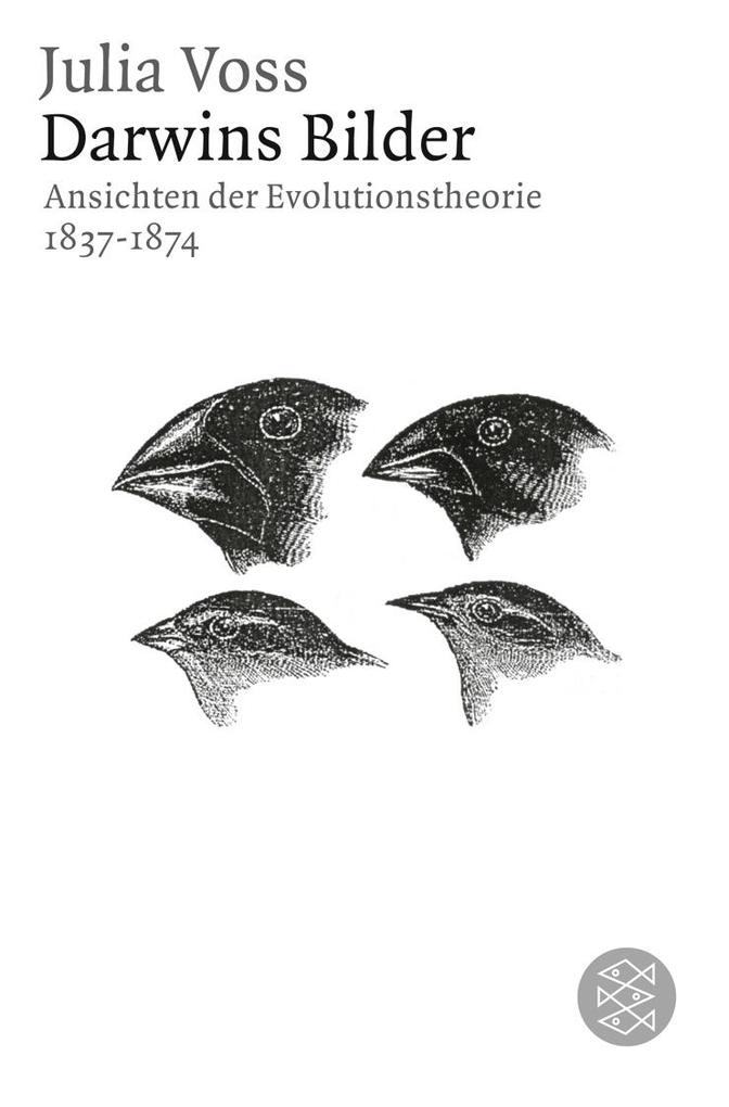 Darwins Bilder von FISCHER Taschenbuch