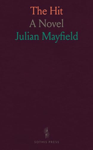 The Hit: A Novel