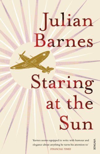 Staring at the Sun: Barnes Julian von Vintage