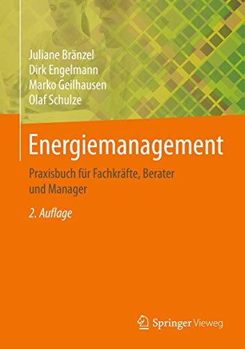 Energiemanagement: Praxisbuch für Fachkräfte, Berater und Manager