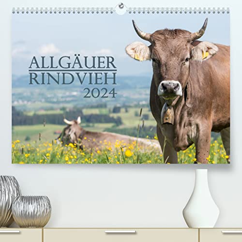 Allgäuer Rindvieh 2024 (hochwertiger Premium Wandkalender 2024 DIN A2 quer), Kunstdruck in Hochglanz