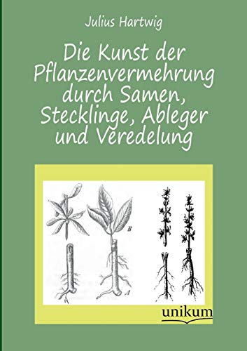 Die Kunst der Pflanzenvermehrung durch Samen, Stecklinge, Ableger und Veredelung