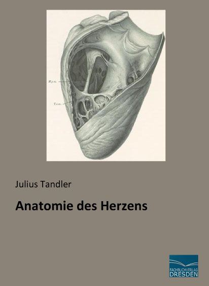 Anatomie des Herzens von Fachbuchverlag-Dresden