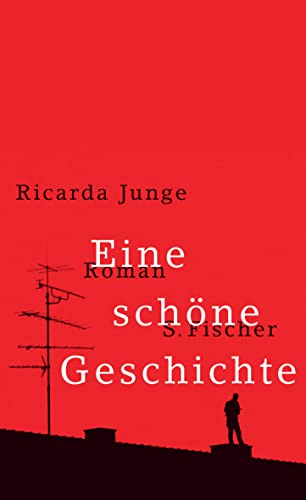 Eine schöne Geschichte: Roman von FISCHER, S.