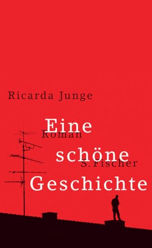 Eine schöne Geschichte: Roman von FISCHERVERLAGE