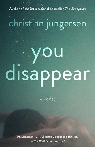 You Disappear von Anchor Books