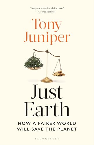Just Earth: How a Fairer World Will Save the Planet von Bloomsbury Continuum