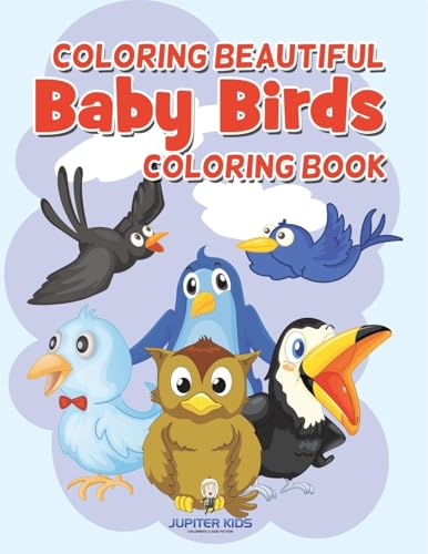 Coloring Beautiful Baby Birds Coloring Book von Jupiter Kids