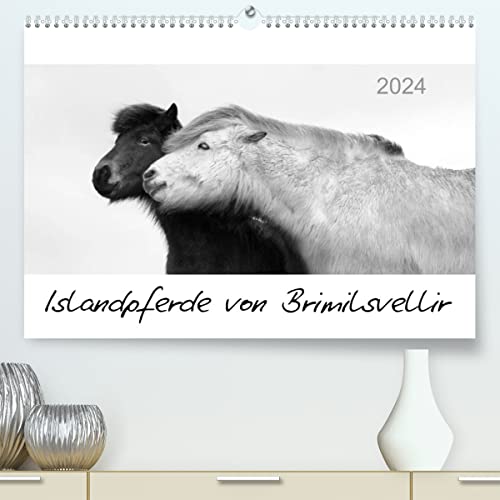 Islandpferde von Brimilsvellir (hochwertiger Premium Wandkalender 2024 DIN A2 quer), Kunstdruck in Hochglanz