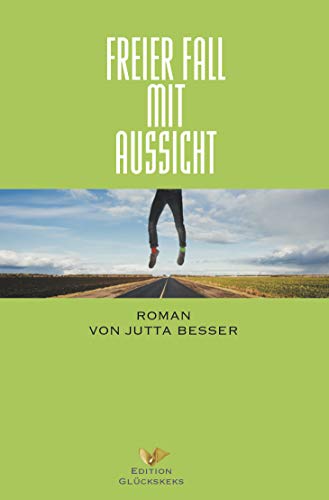 Freier Fall mit Aussicht: Roman