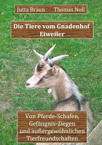 Die Tiere vom Gnadenhof Eiweiler: Von Pferde-Schafen, Gefängnis-Ziegen und außergewöhnlichen Tierfreundschaften