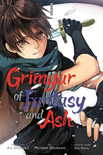 Grimgar of Fantasy and Ash, Vol. 1 (manga) (GRIMGAR OF FANTASY & ASH GN, Band 1)