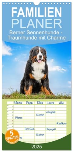 Familienplaner 2025 - Berner Sennenhunde - Traumhunde mit Charme mit 5 Spalten (Wandkalender, 21 cm x 45 cm), CALVENDO von CALVENDO