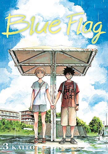 Blue Flag, Vol. 3 (BLUE FLAG GN, Band 3) von Simon & Schuster
