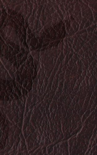The First Book of Moses: Called Genesis: KJV Bible