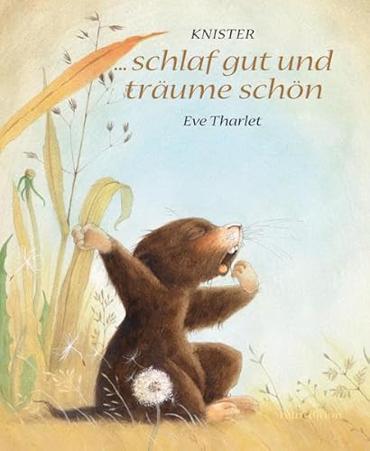 ... schlaf gut und träume schön ... schlaf gut und träume schön