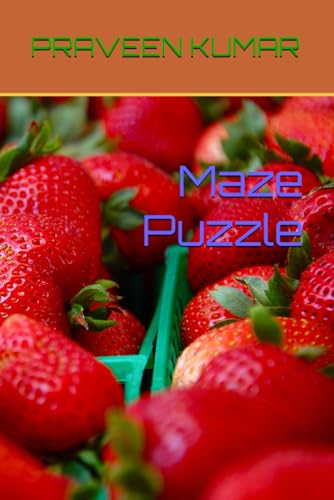 Maze Puzzle von Independently published
