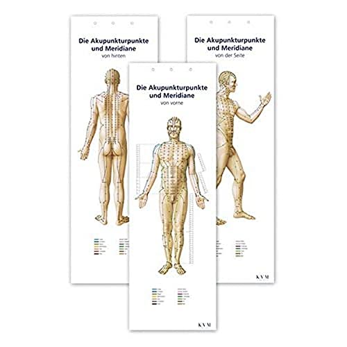 Akupunktur-Poster-Set: Darstellung sämtlicher Akupunkturpunkte von vorne/hinten/seitlich: Akupunkturpunkte von vorne, von hinten, von der Seite von KVM