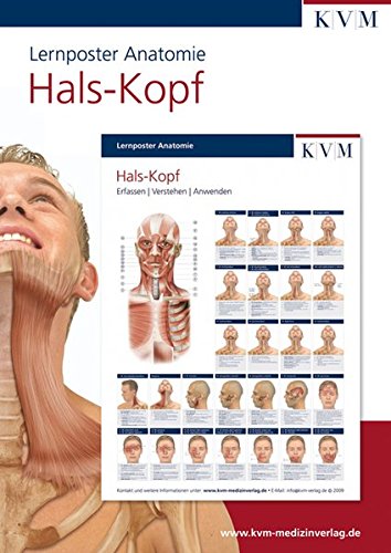 Lernposter Anatomie: Region Hals - Kopf (Die Muskelbuch-Reihe) von KVM - Der Medizinverlag