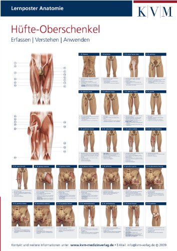 Lernposter Anatomie-Muskulatur: Region Hüfte-Oberschenkel (Die Muskelbuch-Reihe)