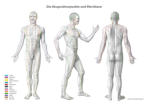 Lernposter – Die Akupunkturpunkte und Meridiane: Von vorne, von hinten und von der Seite Lernposter – Die Akupunkturpunkte und Meridiane: Von vorne, von hinten und von der Seite