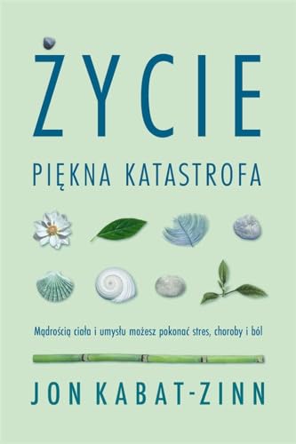 Życie piękna katastrofa