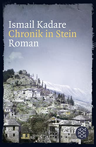 Chronik in Stein: Roman