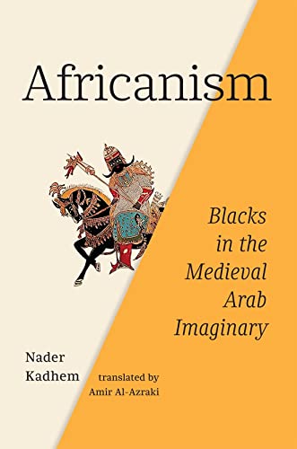 Africanism: Blacks in the Medieval Arab Imaginary von McGill-Queen's University Press