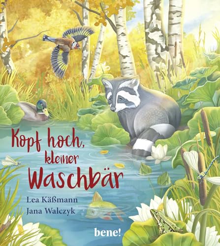 Kopf hoch, kleiner Waschbär – ein Bilderbuch für Kinder ab 2 Jahren von Droemer Knaur*
