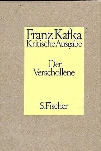 Der Verschollene: Roman