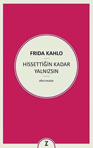 Hissettigin Kadar Yalnizsin von Zeplin Kitap