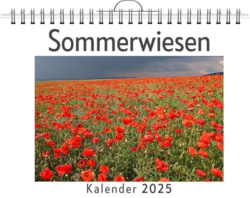 Sommerwiesen - (Wandkalender 2025, Kalender DIN A4 quer, Monatskalender im Querformat mit Kalendarium, das perfekte Geschenk) von FlipFlop