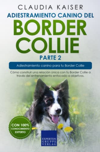 Adiestramiento canino del Border Collie parte 2: Cómo construir una relación única con tu Border Collie a través del entrenamiento enfocado a objetivos
