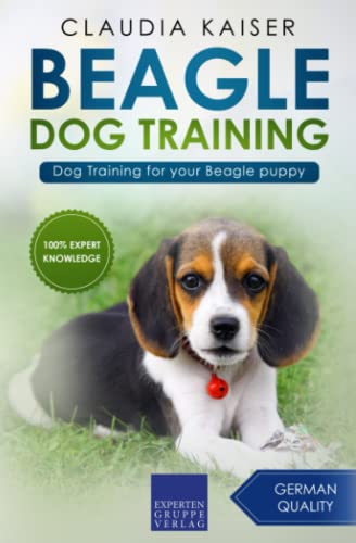 Beagle Dog Training: Dog Training for your Beagle puppy (Beagle Training, Band 1) von Expertengruppe Verlag