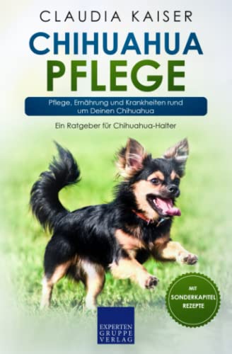 Chihuahua Pflege: Pflege, Ernährung und Krankheiten rund um Deinen Chihuahua von Expertengruppe Verlag