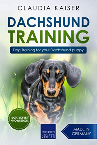 Dachshund Training: Dog Training for your Dachshund puppy