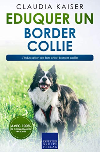 Eduquer un border collie: L'éducation de ton chiot border collie Eduquer un border collie: L'éducation de ton chiot border collie