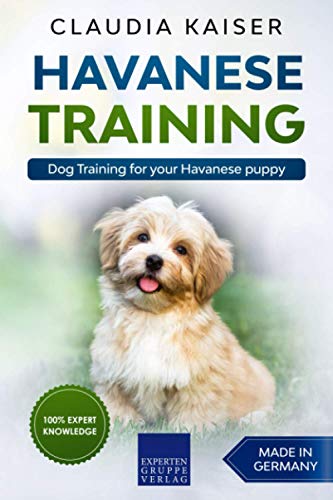 Havanese Training: Dog Training for your Havanese puppy Havanese Training: Dog Training for your Havanese puppy von Independently published