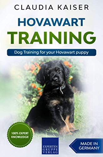 Hovawart Training: Dog Training for your Hovawart puppy Hovawart Training: Dog Training for your Hovawart puppy
