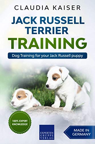 Jack Russell Terrier Training: Dog Training for your Jack Russell puppy