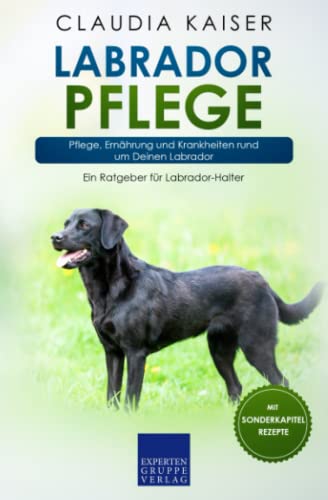 Labrador Pflege: Pflege, Ernährung und Krankheiten rund um Deinen Labrador von Expertengruppe Verlag