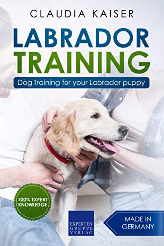 Labrador Training: Dog Training for your Labrador puppy von Independently published