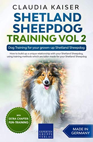 Shetland Sheepdog Training Vol 2: Dog Training for your grown-up Shetland Sheepdog