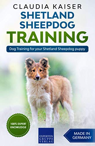 Shetland Sheepdog Training: Dog Training for your Shetland Sheepdog puppy