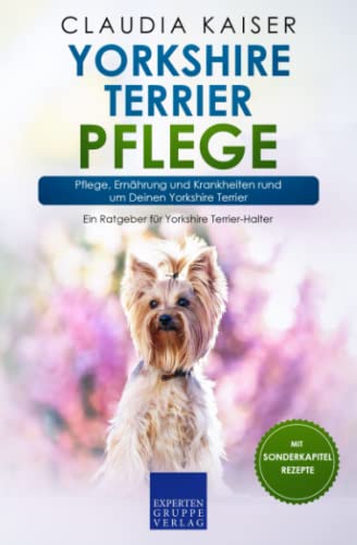 Yorkshire Terrier Pflege: Pflege, Ernährung und Krankheiten rund um Deinen Yorkshire Terrier