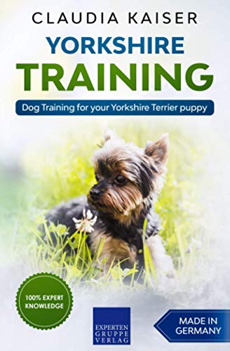 Yorkshire Training: Dog Training for your Yorkshire Terrier puppy