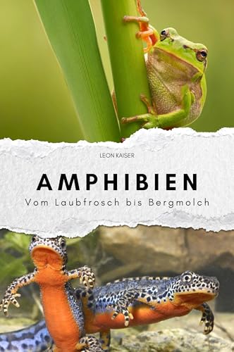 Amphibien - Das perfekte Geschenk für Männer und Frauen zu Weihnachten und Geburtstag: Vom Laubfrosch bis Bergmolch von FlipFlop